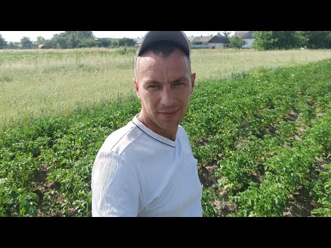 Видео: Результат Земледелие в ЛПХ и первые ошибки!