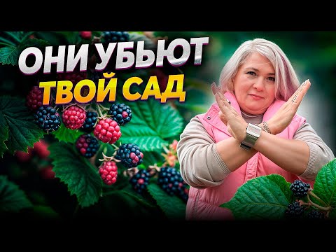 Видео: Ландшафтная мастерская ЭТИ 10 РАСТЕНИЙ СДЕЛАЮТ ИЗ ТВОЕГО САДА АД