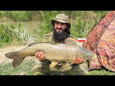 Видео: Бешеный клев Сазана 2-я часть