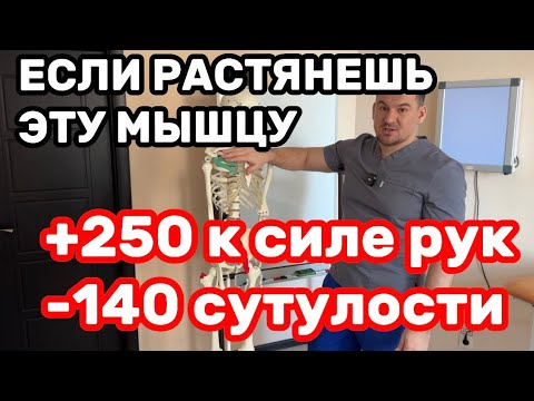 Видео: Растяни эту мышцу +250 к силе рук -145 сутулости. Спина выпрямляется,онемение пальцев проходит сразу