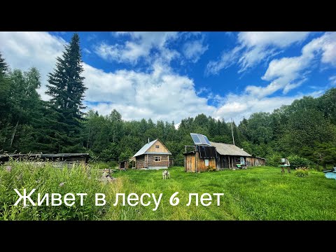 Видео: Заимка в глубинке леса | Он создал все удобства | Жизнь наедине с природой [ч.4]