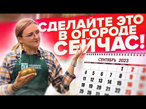 Видео: ЧТО ДЕЛАТЬ В САДУ И ОГОРОДЕ ОСЕНЬЮ?