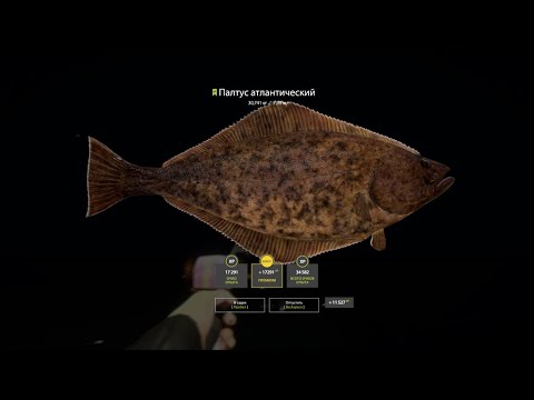 Видео: Русская Рыбалка 4 [PC 2018] 🐟 Очередной Палтус и Моя сборка