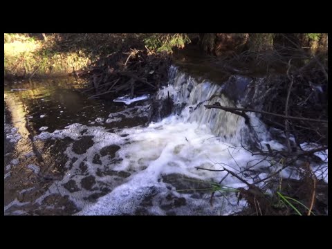 Видео: Через мёртвую реку, по деревянным мосткам....