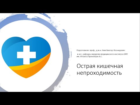 Видео: Лекция 1. Острая кишечная непроходимость. Непроход? Спайки? Обтурация? Чаши или блюдца?