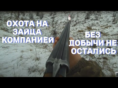 Видео: ОХОТА КОМПАНИЕЙ НА ЗАЙЦА. БЕЗ ДОБЫЧИ НЕ ОСТАЛИСЬ! ОТДОХНУЛИ ХОРОШО.