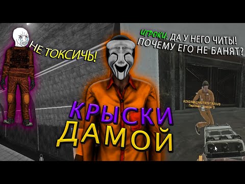 Видео: СТАЛ ОХОТНИКОМ НА КРЫС | SCP : SECRET LABORATORY