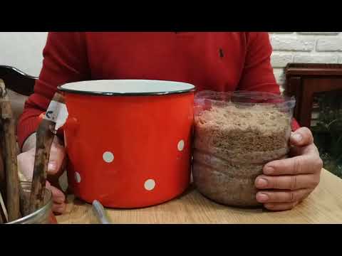 Видео: Укоренение одноглазковых черенков винограда