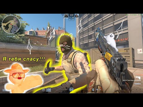 Видео: дикий ор