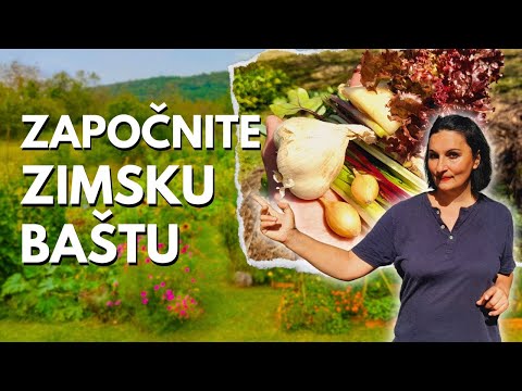 Видео: Как создать ЗИМНИЙ САД?