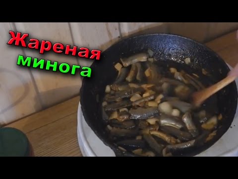 Видео: ЖАРЕНАЯ МИНОГА | Дальневосточный деликатес | Lamprey fish river monsters