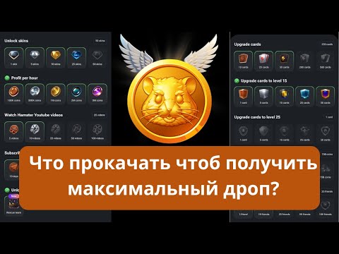 Видео: Hamster Kombat - Как получить максимальный Airdrop