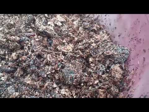 Видео: 19 июня 2025 г.