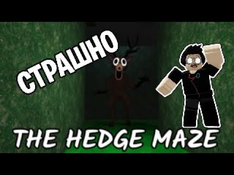 Видео: Лабиринт в 99 нощи в гората