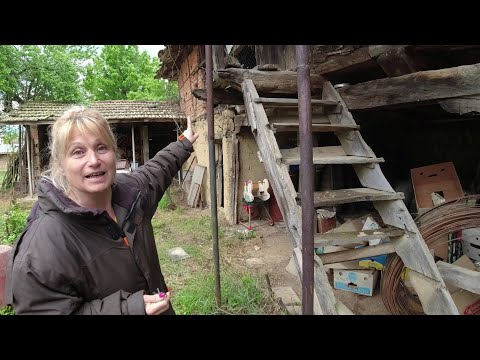 Видео: ЖИВОТ НА СЕЛО :  Как проектираме ремонта на плевнята + мерки за дограма / LINE D5