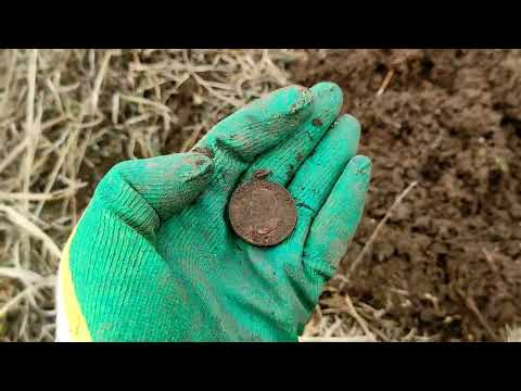 Видео: Коп царских монет Николая 2.Поиск весной