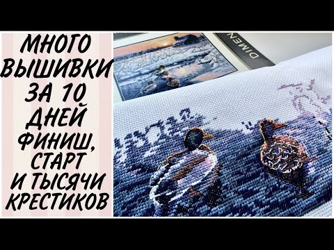 Видео: БОЛЬШИЕ ПРОДВИЖЕНИЯ ПО ПРОЦЕССАМ / СУПЕР СТАРТ И 4 ТЫС КРЕСТИКОВ ДИМЕНШЕНС ЗИМНЕЕ УТРО / ФИНИШ ФЕИ