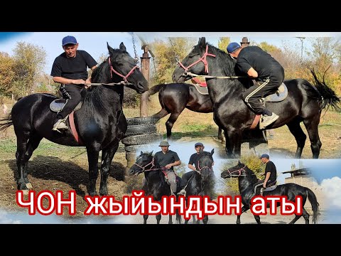 Видео: ЧОН АТТАР. 77 .ТАБРО ДЫЙКАНДАН КУЛУНДАН БЕРИ ЧОНОЙТУМ ДЕДИ
