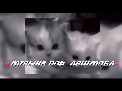 Видео: Музыка для флешмоба🎧#youtube