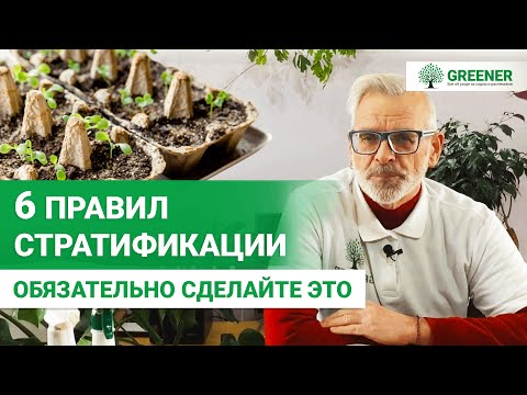 Видео: Стратификация: КАК И ЗАЧЕМ ее делать? 6 ПРАВИЛ от эксперта!