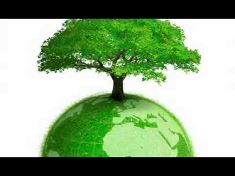 Видео: Гадецкий О Г   Законы судьбы  8  Высшие принципы закона судьбы