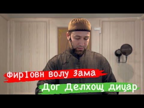 Видео: Хьехам (Фир1овн)