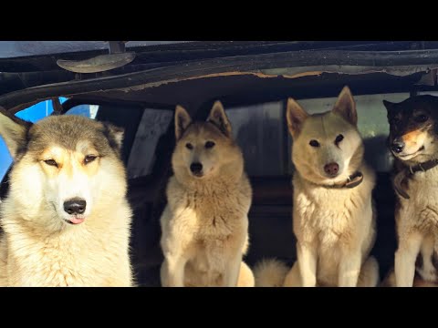 Видео: Натуралка  для лаек