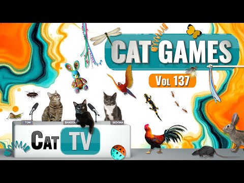 Видео: CAT Games | Ultimate Cat TV Compilation Vol 137 | 8 ЧАСОВ 🐝🐞🦋🦎🦜🐜🐭🧵