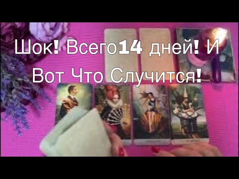 Видео: ❤️ СЧАСТЬЕ РЯДОМ! Срочно! Важно! В Коридор ЗАТМЕНИЙ! ❤️ #онлайнгадание #тароонлайн   ❤️