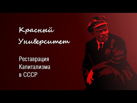 Видео: Реставрация Капитализма в СССР. Попов М. В.