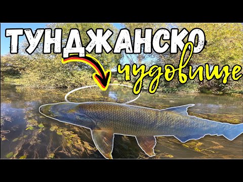 Видео: РАСПЕР С ТРОФЕЙНИ РАЗМЕРИ!!! ПОЧТИ ПРЕСЪХНАЛА РЕКА ТУНДЖА???