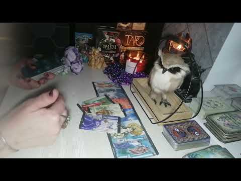 Видео: 💥🤦О чем он сейчас ооочень сильно сожалеет💥🤦