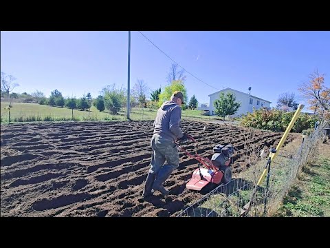Видео: СЕЛЬСКАЯ ЖИЗНЬ В АМЕРИКЕ. САЖАЕМ ЧЁРНУЮ СМОРОДУ.