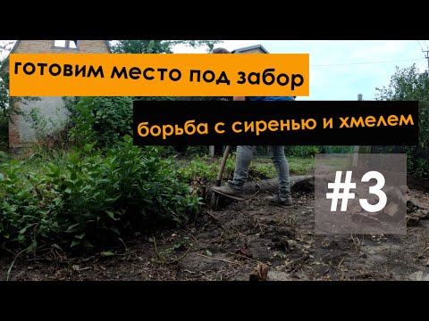 Видео: #3 Купили заброшенную дачу | готовим место под забор, боремся с хмелем и бурьянами.