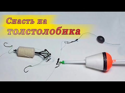 Видео: Поймать толстолобика!  Как сделать отличную поплавочную снасть для его ловли на технопланктон.