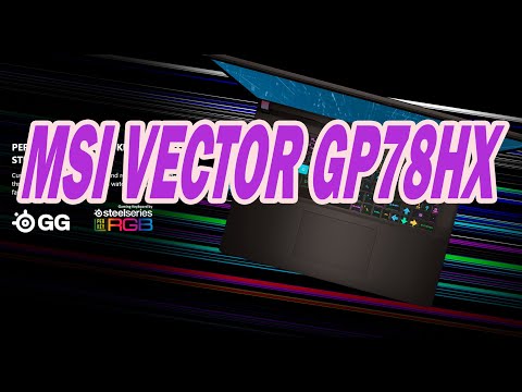 Видео: Обзор ноутбука MSI Vector GP78HX 13VG