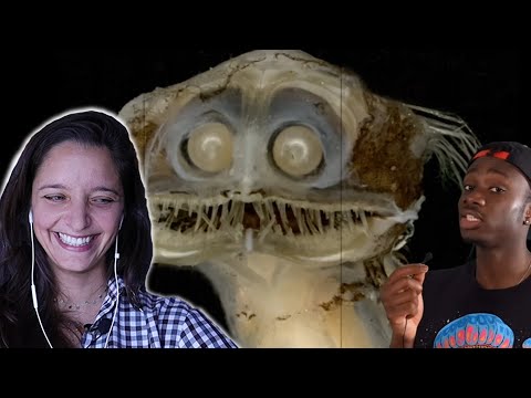 Видео: Морской биолог отреагировал на «Невыразимые ужасы морских глубин» (Casual Geographic)