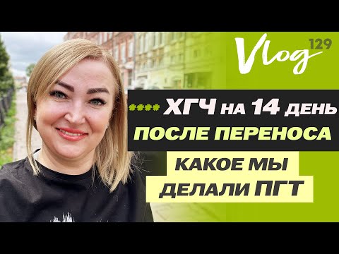 Видео: ЭКО. ХГЧ на 14 ДПП // Динамика // Клексан // ПГТ