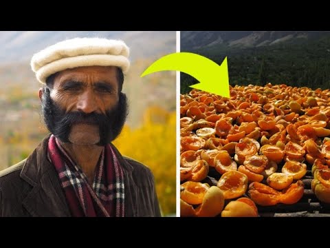 Видео: Эти люди живут до 120 лет, рожают в 65 и никогда не болеют! Вот что они едят…