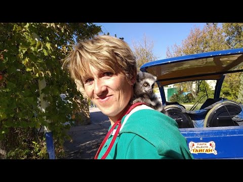 Видео: Вечная память. Леокадия Перевалова. Парк львов Тайган #тайган