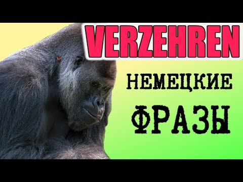 Видео: Проработаем немецкий устно. Немецкое слово VERZEHREN, употребление в речи