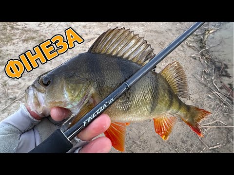 Видео: БАГАТО ОКУНЯ на СПІНІНГ  Graphiteleader Finezza UX 23 ловля окуня на силіконові приманки