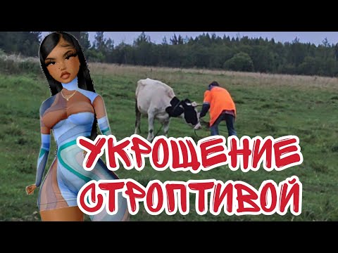 Видео: Дикая корова🐄