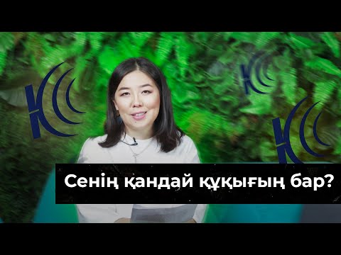 Видео: Сенің қандай құқығың бар? | Адам құқықтары жайлы