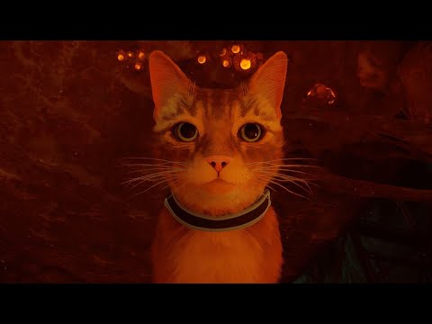 Видео: Хедкрабы отакуэ! или котячество 2