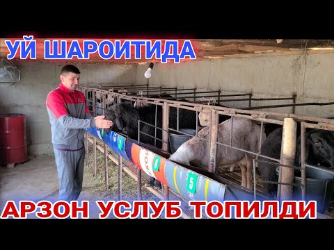 Видео: КУЙ БОКИБ 1 ОЙДА 500$ ДАРОМАТ КИЛИШ УСЛУБИ УЙ ШАРОИТИДА