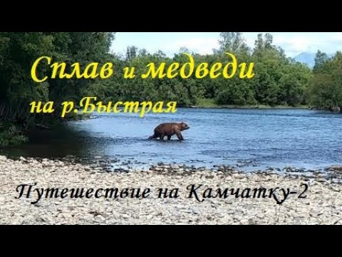 Видео: Путешествие на Камчатку-2. Сплав по Быстрой и медведи