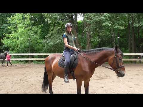 Видео: Галоп, контргалоп и галоп не с той ноги. В чем разница?