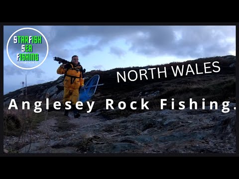 Видео: МОРСКАЯ РЫБАЛКА В ЭНГЛСИ.