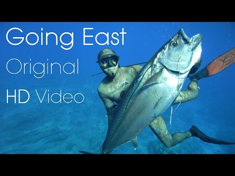 Видео: Лучший фильм о подводной охоте — «Одна рыба идёт на восток» — оригинальный HD